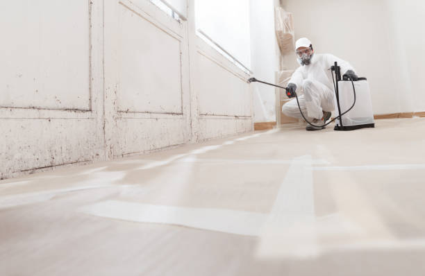 24/7 Emergency Mold Testing experts in Clinton, IL
