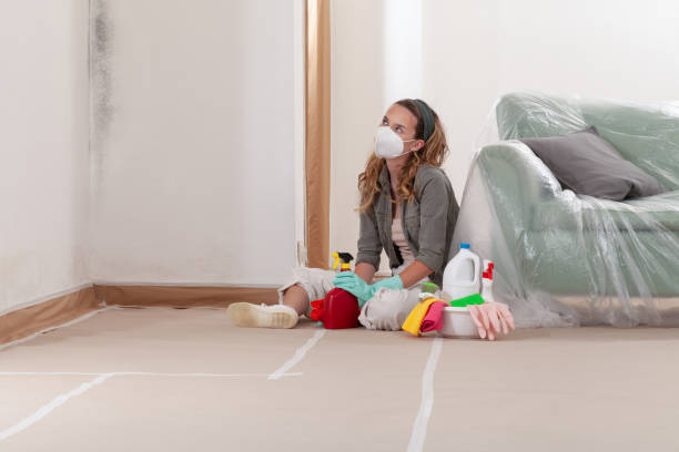 Reliable Mold Cleanup contractor in Clinton, IL by Cheap Mold Removal